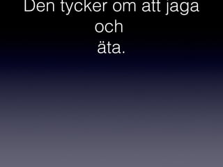 Den tycker om att jaga
och
äta.

 