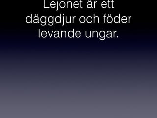 Lejonet är ett
däggdjur och föder
levande ungar.

 