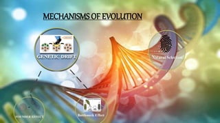 MECHANISMS OF EVOLUTION
 