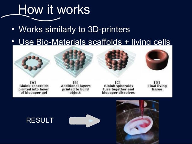 3D Printers, bio-printers and physibles