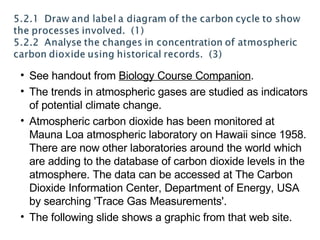 See handout from  Biology Course Companion . The trends in atmospheric gases are studied as indicators of potential climate change. Atmospheric carbon dioxide has been monitored at Mauna Loa atmospheric laboratory on Hawaii since 1958. There are now other laboratories around the world which are adding to the database of carbon dioxide levels in the atmosphere. The data can be accessed at The Carbon Dioxide Information Center, Department of Energy, USA by searching 'Trace Gas Measurements'. The following slide shows a graphic from that web site. 