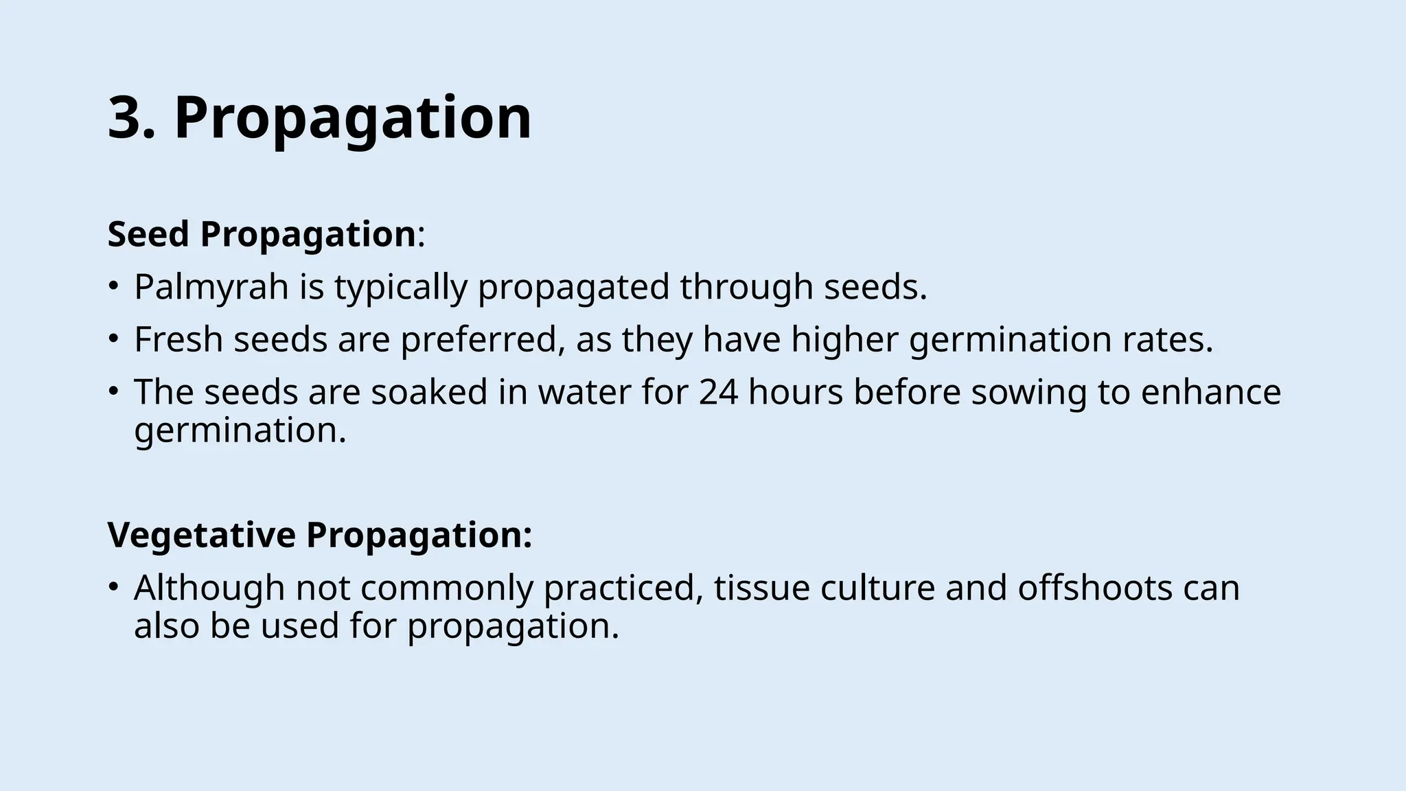 Production technology of palmyrah.......ppt