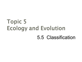 5.5  Classification 