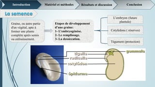 Introduction Matériel et méthodes Résultats et discussion Conclusion
Graine, ou autre partie
d'un végétal, apte à
former une plante
complète après semis
ou enfouissement.
Etapes de développement
d’une graine:
1- L’embryogénèse.
2- Le remplissage.
3- La dessiccation.
L’embryon (future
plantule)
Cotylédons ( réserves)
Tégument (protection)
 
