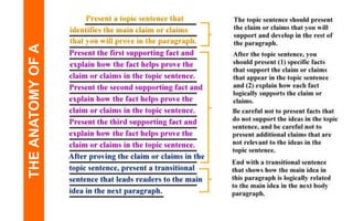 THE ANATOMY OF A 
PARAGRAPH 
 