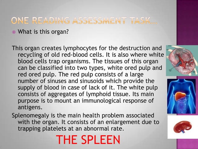 Presentation Assessing Reading Pptx