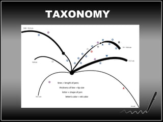 TAXONOMY 