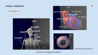 CETREAL EXPERIENCE
XR COLOMBIA & NETHERLANDS 2020
08
CETHEALTH
Education in biology and medicine
 