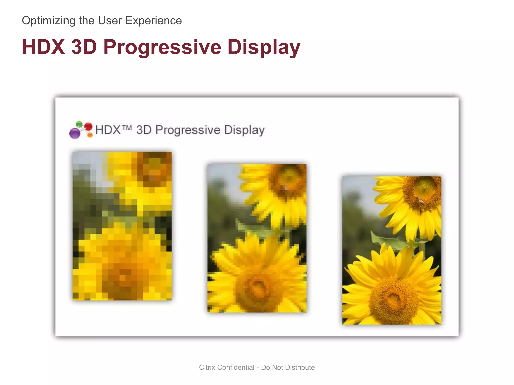 HDX 3D Progressive Display
Citrix Confidential - Do Not Distribute
 