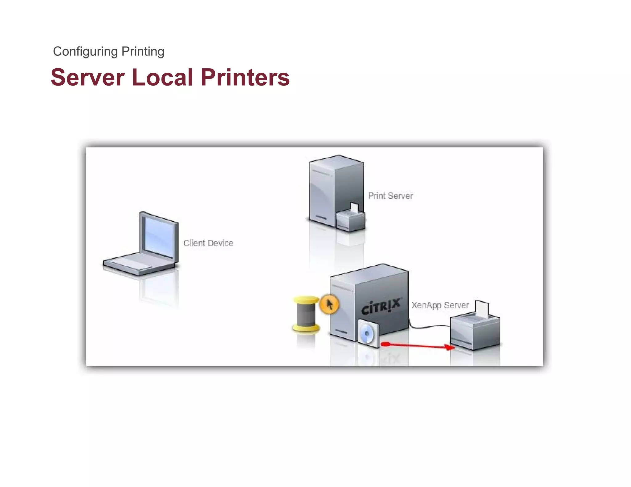 Server Local Printers
 