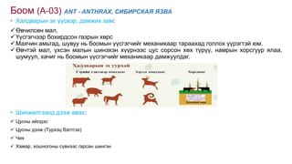 presentation-batbold.ts(1).pptx
