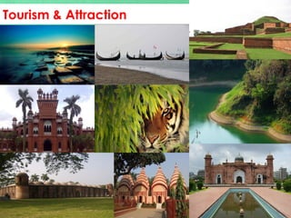 •
Tourism & Attraction
 