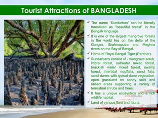  The name “Sundarban” can be literally
translated as "beautiful forest" in the
Bengali language.
 It is one of the largest mangrove forests
in the world lies on the delta of the
Ganges, Brahmaputra and Meghna
rivers on the Bay of Bengal.
 Home of Royal Bengal Tiger (Panther).
 Sundarbans consist of - mangrove scrub,
littoral forest, saltwater mixed forest,
brackish water mixed forest, swamp
forest, intertidal mudflats, sand flats,
sand dunes with typical dune vegetation,
open grassland on sandy soils and
raised areas supporting a variety of
terrestrial shrubs and trees.
 It has a unique ecosystem and a rich
wildlife habitat.
 Land of various flora and fauna.
Tourist Attractions of BANGLADESH
 