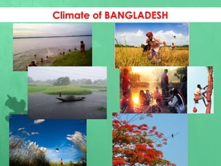 Climate of BANGLADESH
 