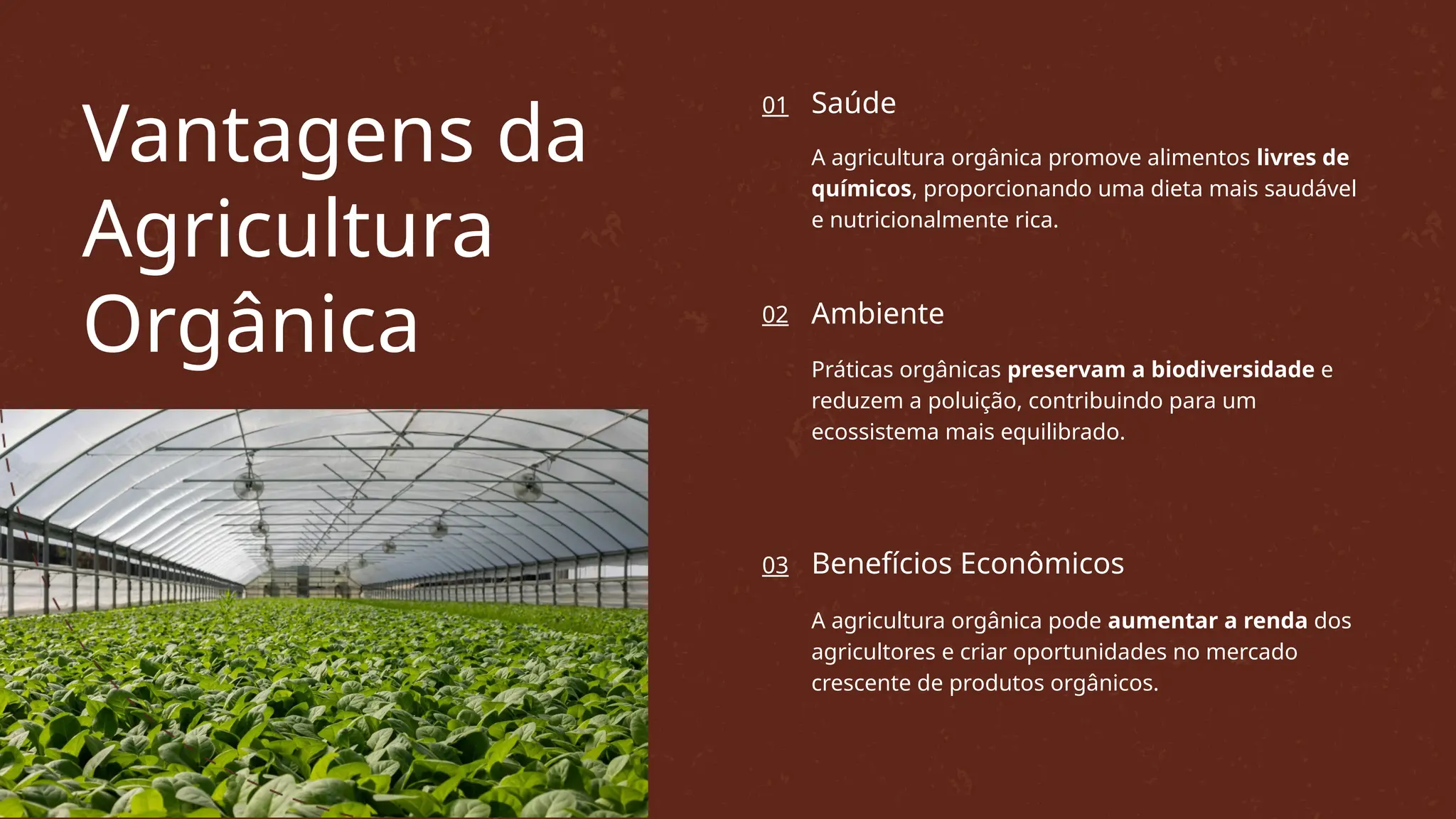 Organic Farming in India: A Beginner’s Guide to Profitable Practices | PPTX