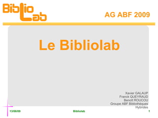 AG ABF 2009 Le Bibliolab Xavier GALAUP Franck QUEYRAUD Benoît ROUCOU Groupe ABF Bibliothèques Hybrides 