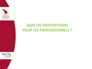 QUELLES PROPOSITIONS
POUR LES PROFESSIONNELS ?

 