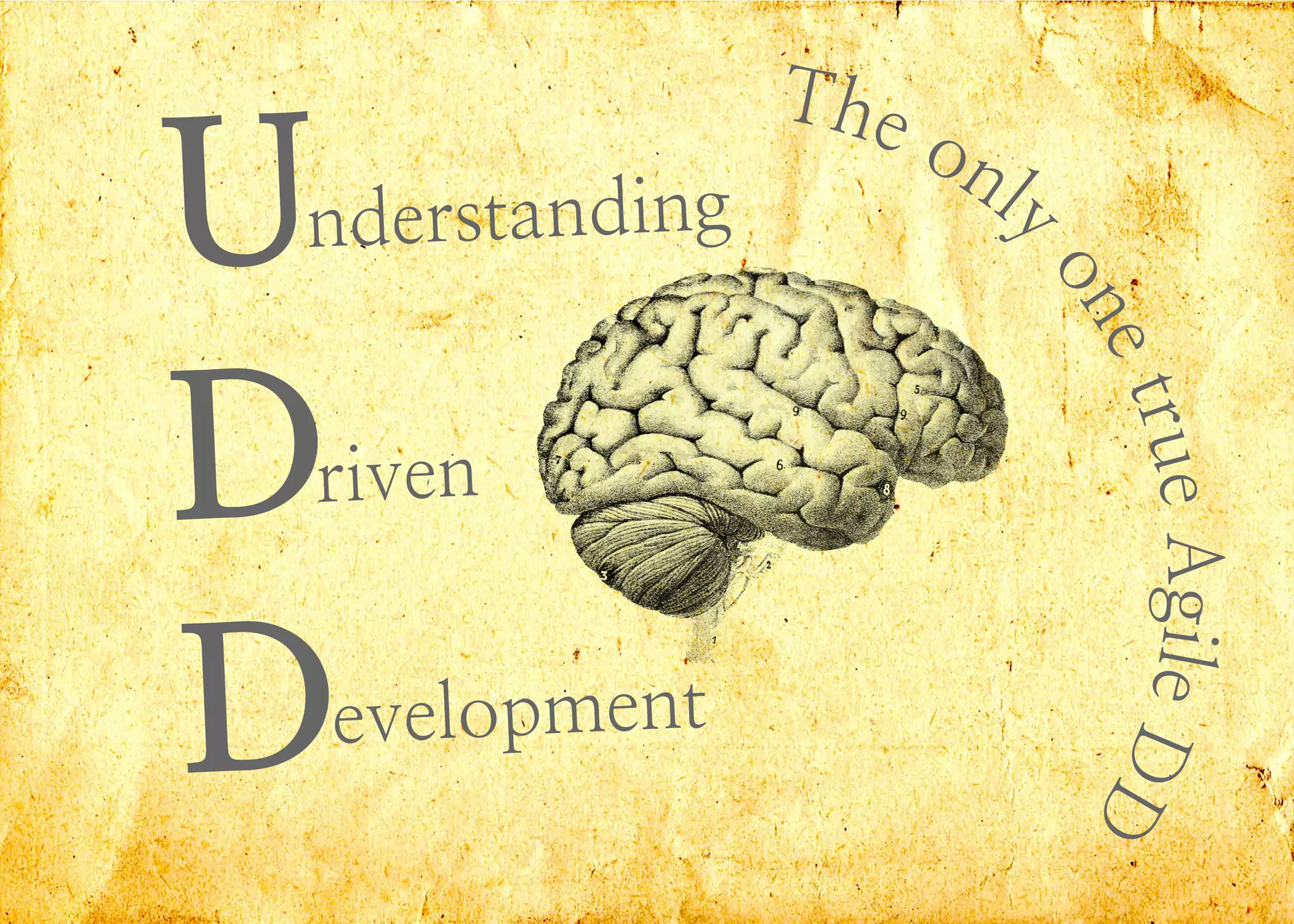 U
D
D
nderstanding
riven
evelopment
 