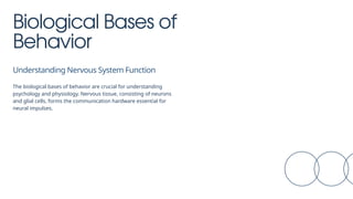 Presentation - Biological Bases of Behavior_20251029_174422_0000.pptx