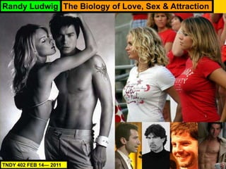 Randy Ludwig
TNDY 402 FEB 14— 2011
The Biology of Love, Sex & Attraction
 