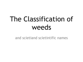 The Classification of
weeds
and scietiand scietintific names
 