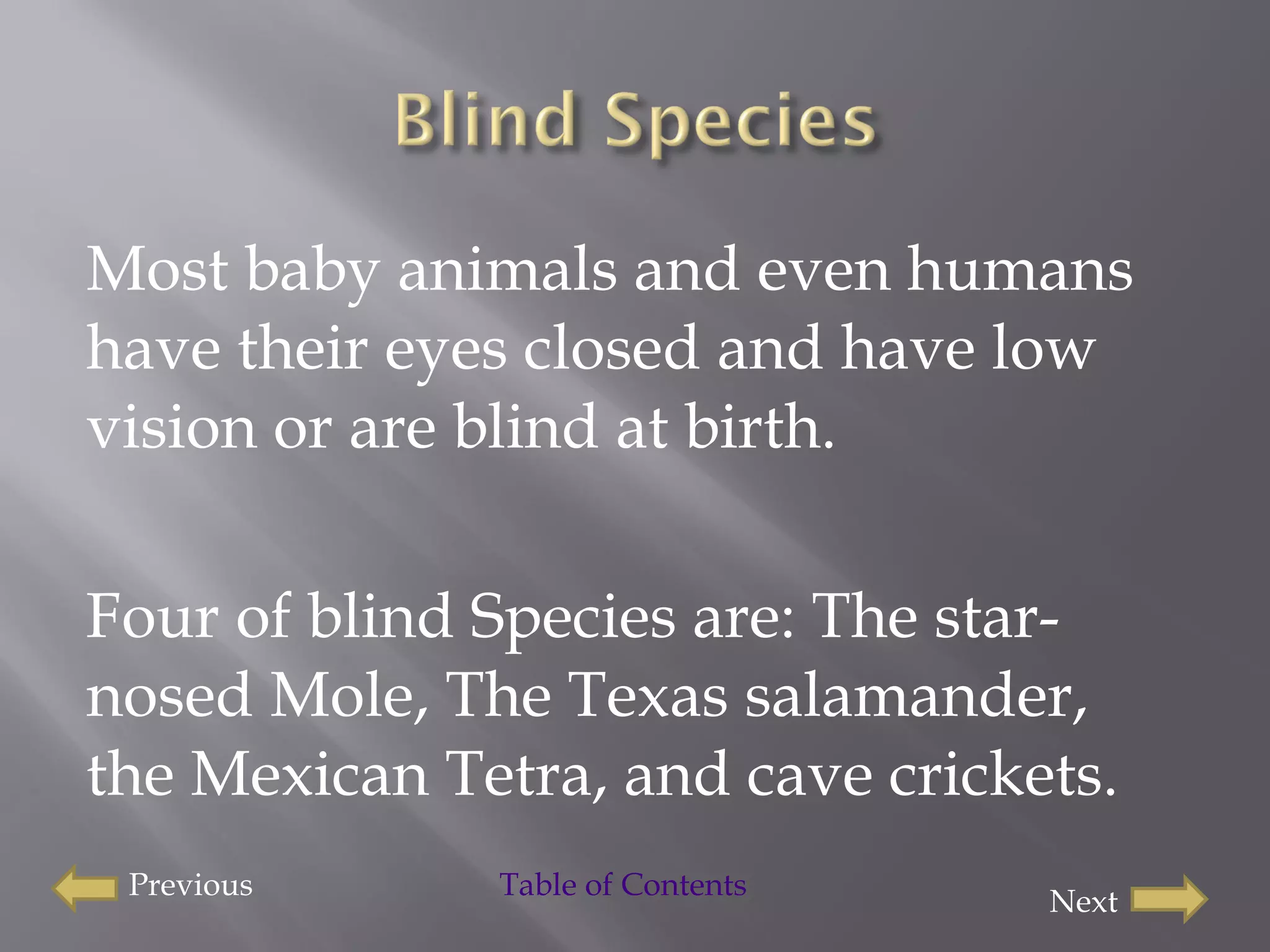 Most baby animals and even humans have their eyes closed and have low vision or are blind at birth.  Four of blind Species are: The star-nosed Mole, The Texas salamander,  the Mexican Tetra, and cave crickets.  Previous Next Table of Contents 