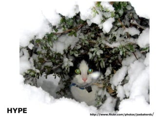 http://www.flickr.com/photos/joebakerdc / HYPE
