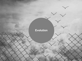 Evolution
 