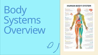 Presentation - Body Systems Overview.pptx