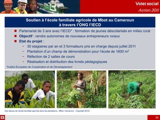 Soutien à l’école familiale agricole de Mbot au Cameroun
à travers l’ONG l’IECD
 Partenariat de 3 ans avec l’IECD* : formation de jeunes déscolarisés en milieu rural
 Objectif : rendre autonomes de nouveaux entrepreneurs ruraux
 Etat du projet :
− 30 stagiaires par an et 3 formateurs pris en charge depuis juillet 2011
− Plantation d’un champ de démonstration pour l’école de 1600 m2
− Réfection de 2 salles de cours
− Réalisation et distribution des livrets pédagogiques
*Institut Européen de Coopération et de Développement
Volet social
Action 2011
Des élèves de l’école familiale agricole dans les plantations - Mbot, Cameroun - Copyright IECD
34
 
