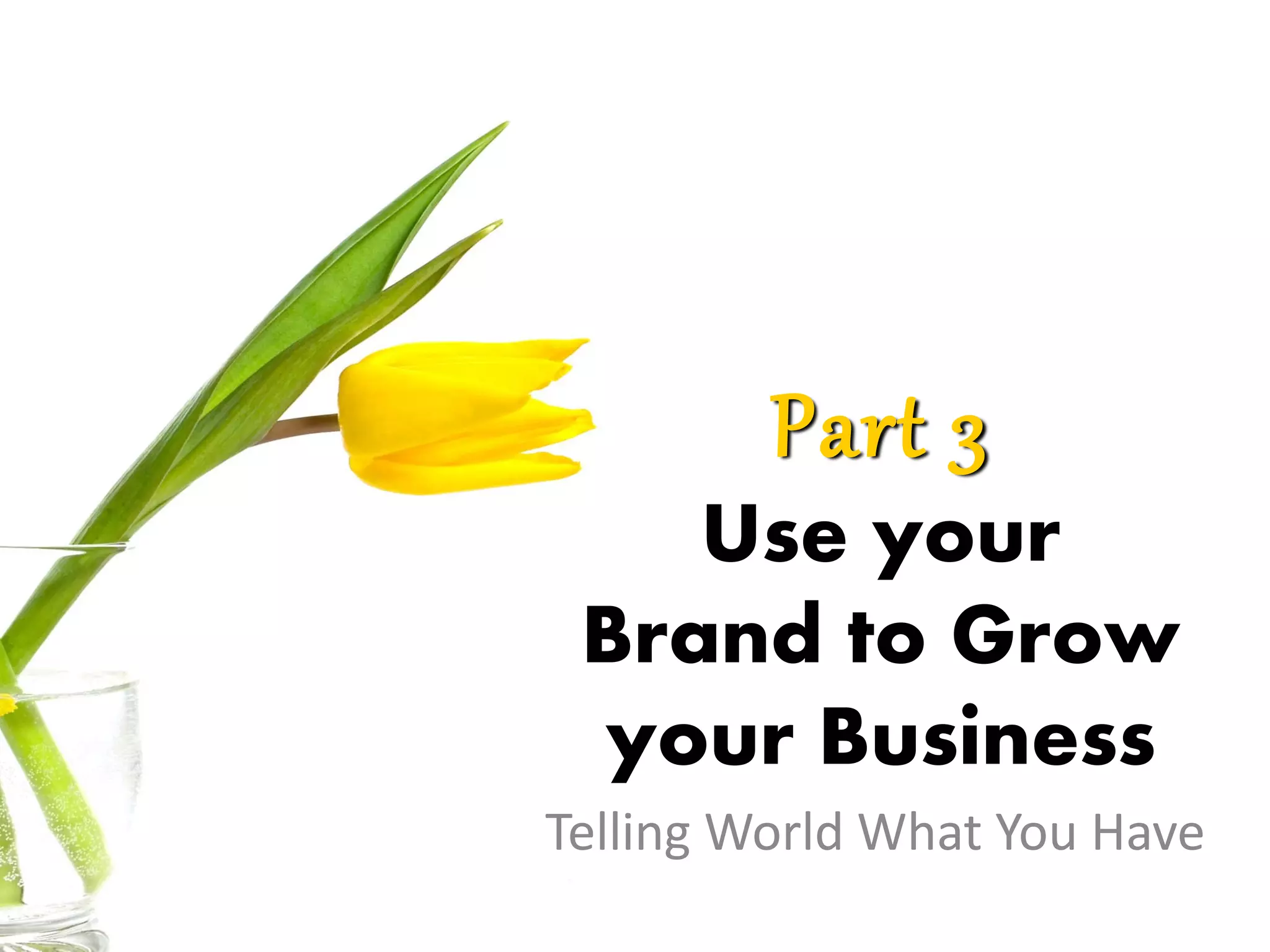 Part 3
Use your
Brand to Grow
your Business
Telling World What You Have
 