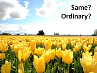 Same?
Ordinary?
 