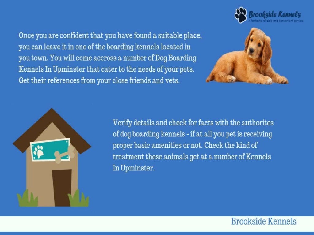 Boarding Kennels In Brentwood Brookside Kennels