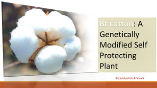 : A
Genetically
Modified Self
Protecting
Plant
-By Subhashish & Souvik
 