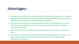 Advantages:-
1. Increases yield of cotton due to effective control of three types of bollworms, viz. American,
Spotted and Pink bollworms as Insects belonged to Lepidoptera (Bollworms) are sensitive to
crystalline endotoxic protein produced by Bt gene (more profit).
2. Reduction in insecticide use in the cultivation of Bt cotton in which bollworms are major
pests. No health hazards due to rare use of insecticides (particularly who is engaged in
spraying of insecticides)
3. Potential reduction in the cost of cultivation (depending on seed cost versus insecticide
costs).
4. Most of the Cry proteins deposited into soil by Bt crops were degraded in soil within a few
days, and they had no effect on soil bacteria, actinomyces, fungi, protozoa, algae,
nematodes, or earthworm.
 