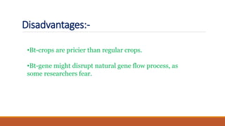 Disadvantages:-
•Bt-crops are pricier than regular crops.
•Bt-gene might disrupt natural gene flow process, as
some researchers fear.
 