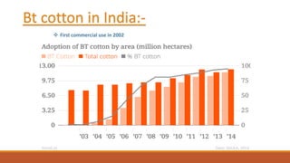 Bt cotton in India:-
❖ First commercial use in 2002
 
