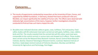 Concerns….
➢ The results of experiments conducted by researchers at the University of Caen, France, and
supported by GEKKO Foundation, in Germany, showed that toxins produced in Bt corn,
Mon810, can impact significantly the viability of human cells. The effects were observed with
relatively high concentrations of the toxins; however, further investigations should be
conducted to find out how such toxins impact the cells.
➢ Biosafety tests indicated absolute safety to goats, cows, buffaloes, fish and poultry. Feed-
safety studies with Bt cottonseed meal were carried out with goats, buffalos, cows, rabbits,
birds and fish. The results revealed that the animals fed with Bt-cotton seed meal were
comparable to the control animals in various tests and showed no ill-effects. These studies
were carried out by the National Dairy Research Institute, Karnal; Central Avian Research
Institute, Bareily; Industrial Toxicological Research Centre, Lucknow; National Institute of
Nutrition, Hyderabad; Central Institute of Fisheries Education, Mumbai and GB Pant
University for Agriculture and Technology, Pant Nagar.
 