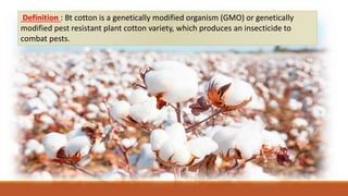 Definition : Bt cotton is a genetically modified organism (GMO) or genetically
modified pest resistant plant cotton variety, which produces an insecticide to
combat pests.
 