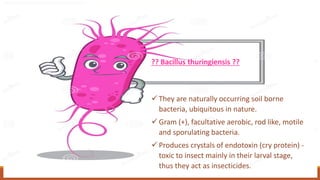?? Bacillus thuringiensis ??
✓ They are naturally occurring soil borne
bacteria, ubiquitous in nature.
✓ Gram (+), facultative aerobic, rod like, motile
and sporulating bacteria.
✓ Produces crystals of endotoxin (cry protein) -
toxic to insect mainly in their larval stage,
thus they act as insecticides.
 
