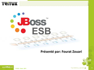 ESB Présenté par: FouratZouari 1 TriTUX – Tunis – 2011  
