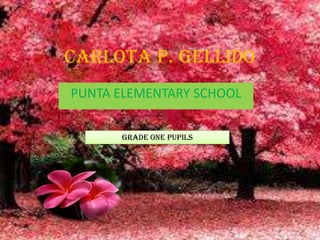 CARLOTA P. GELLIDO
PUNTA ELEMENTARY SCHOOL
GRADE ONE PUPILS
 