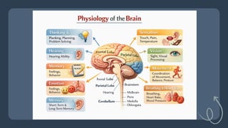 Comprehensive Overview of Cerebrovascular Accident (CVA) and Stroke ...