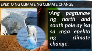 EPEKTO NG CLIMATE NG CLIMATE CHANGE
•Ang pagtunaw
ng north and
south pole ay isa
sa mga epekto
ng climate
change.
 