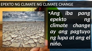 EPEKTO NG CLIMATE NG CLIMATE CHANGE
•Ang iba pang
epekto ng
climate change
ay ang pagtuyo
ng lupa at ang el
niňo.
 
