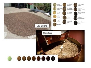 Dry Beans
Roasting
Process