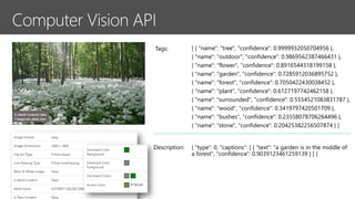 [ { "name": "tree", "confidence": 0.9999932050704956 },
{ "name": "outdoor", "confidence": 0.9869562387466431 },
{ "name": "flower", "confidence": 0.8916544318199158 },
{ "name": "garden", "confidence": 0.7285912036895752 },
{ "name": "forest", "confidence": 0.7050422430038452 },
{ "name": "plant", "confidence": 0.6127197742462158 },
{ "name": "surrounded", "confidence": 0.5554521083831787 },
{ "name": "wood", "confidence": 0.3419797420501709 },
{ "name": "bushes", "confidence": 0.23558078706264496 },
{ "name": "stone", "confidence": 0.20425382256507874 } ]
Tags:
{ "type": 0, "captions": [ { "text": "a garden is in the middle of
a forest", "confidence": 0.9039123461259139 } ] }
Description:
 