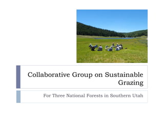 Collaborative Group on Sustainable
Grazing
For Three National Forests in Southern Utah

 