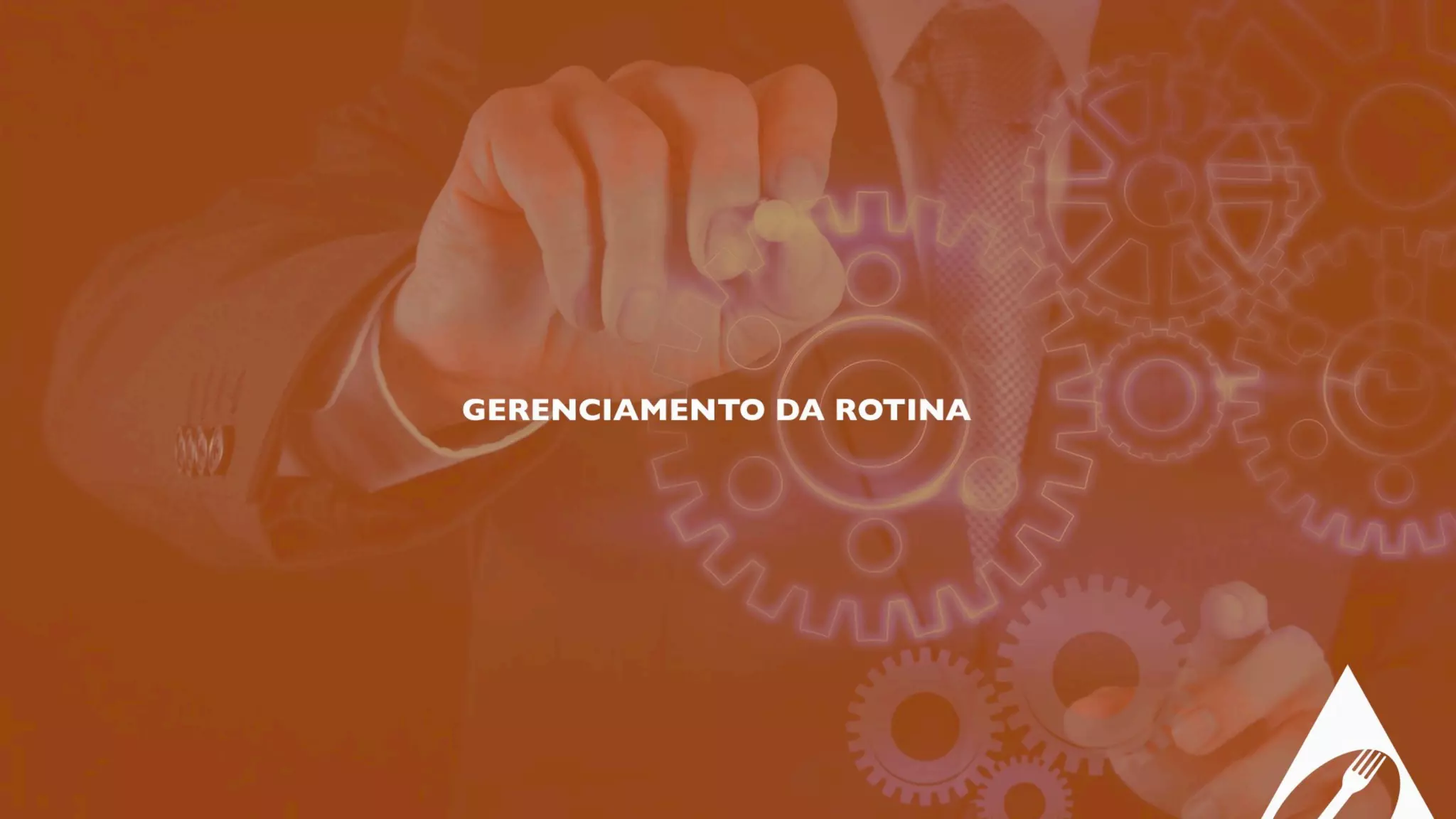 ALIBRAZ SOLUÇÕES EM ALIMENTAÇÃO E SERVIÇOS