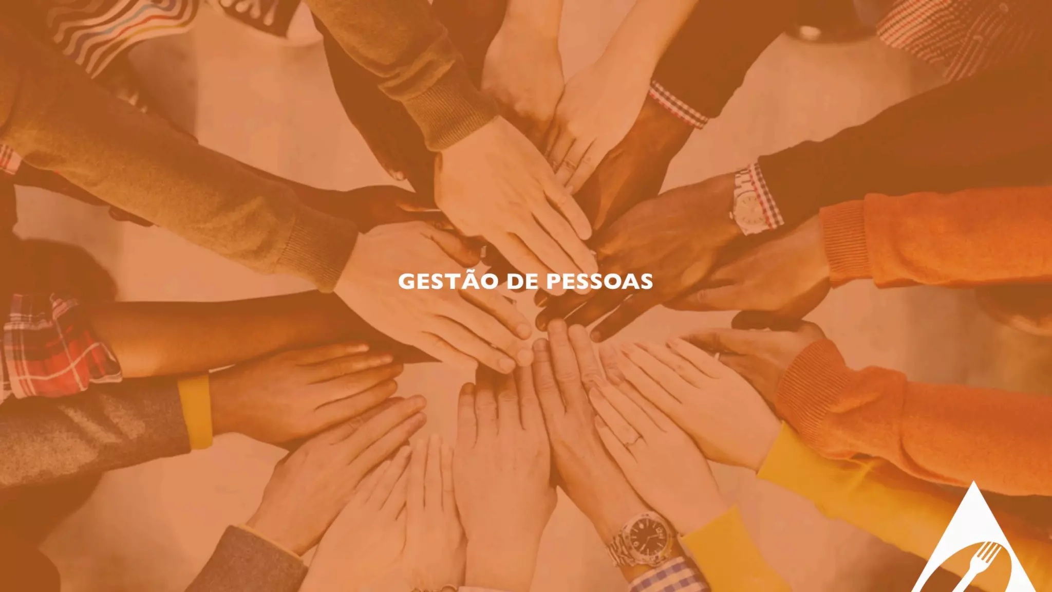 ALIBRAZ SOLUÇÕES EM ALIMENTAÇÃO E SERVIÇOS